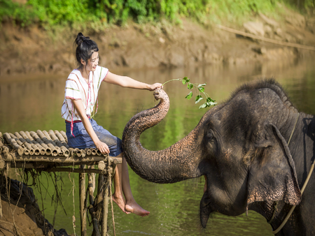 Elephant Sanctuary and Erawan Waterfall - Full-Day Private Tour