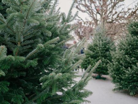 Mercatini di Natale di Praga - Tour privato