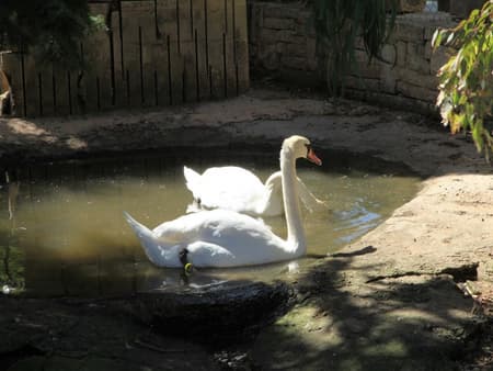 The Limestone Heritage Park and Gardens Ticket