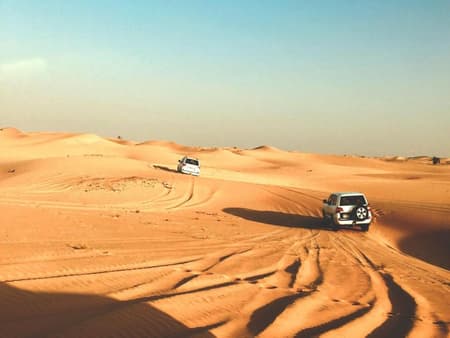 Desert Safari with BBQ Dinner & FREE SHARJAH city tour from Dubai