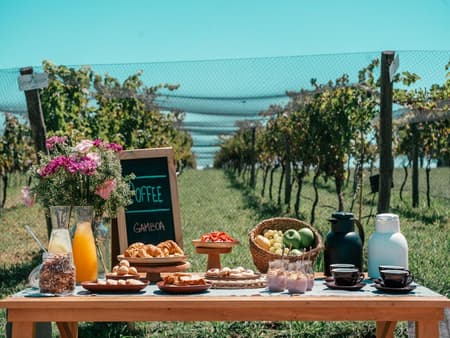 Experiencia Porteño Wines - Tour de un día entero