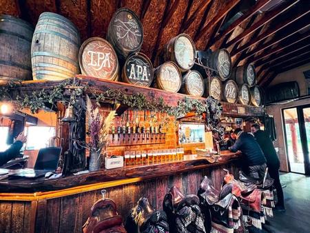 Bariloche Beer Experience: A Sensory Journey through Craft Beer