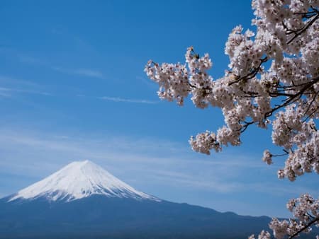Mount Fuji & Gotemba Premium Outlet – One-Day (Shared) Service