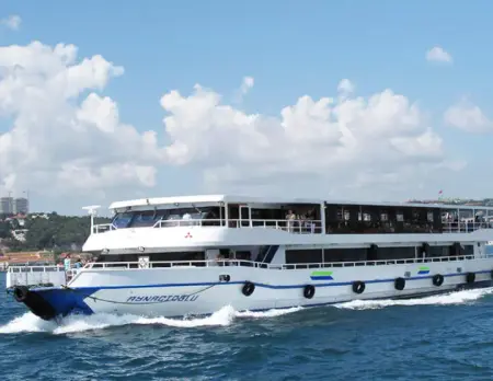 Croisière panoramique sur le Bosphore (1h30) - Audioguide inclus - Istanbul