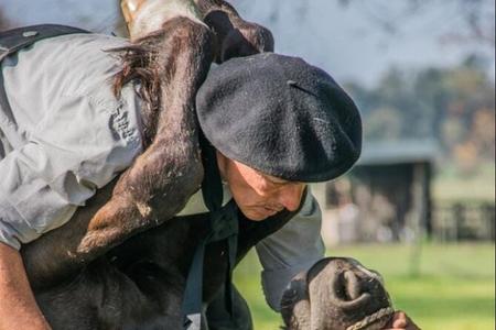 Experiencia Gaucha Argentina Estancia el Ombú y Pueblo de Areco en Privado