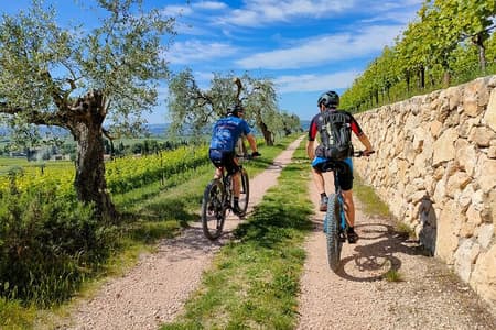 Valpolicella Hills 4-Hour E-Bike and Wine Tour