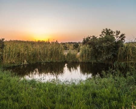 Azraq Wetland Reserve (Hiking Trails)