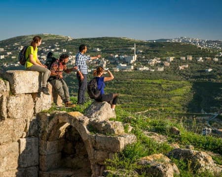 Ajloun Forest Reserve Hiking Trails 