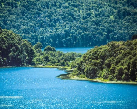 Excursion Transfer Bariloche / San Martín de los Andes via the Seven Lakes Route