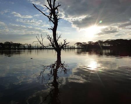 Lake Naivasha (Boat Ride/Crescent Islands Ticket Only)
