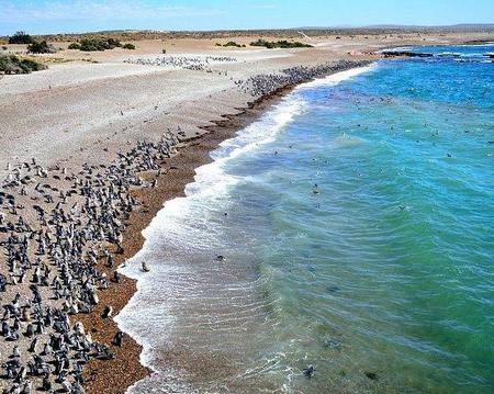 Punta Tombo