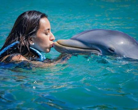 Dolphin Encounter - Dolphin Discovery Isla Mujeres (Tarifa para Mexicanos)