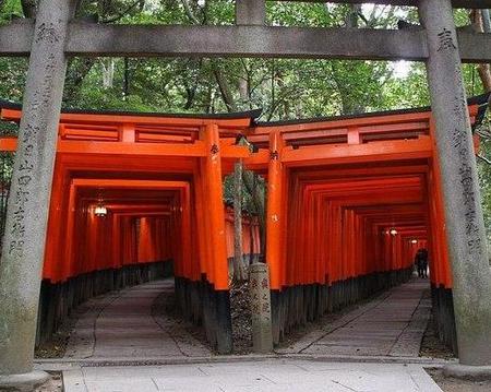 Ganztägige Kyoto-Tour mit englisch-, spanisch- oder deutschsprachigem Guide mit öffentlichen Verkehrsmitteln (privat)