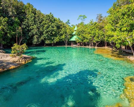 Krabi Rainforest Discovery Tour