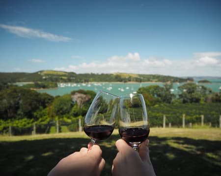 Love Waiheke Island Winery Day Tour