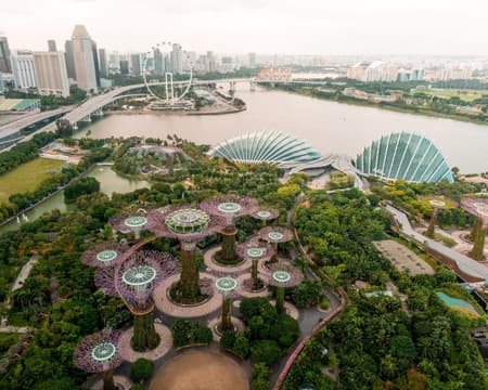 Gardens By the Bay (Cloud forest + Flower Dome)