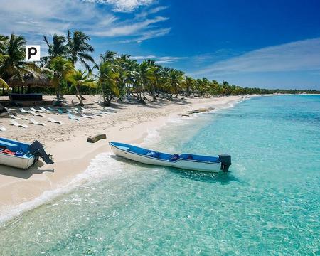 Tour ISLA CATALINA