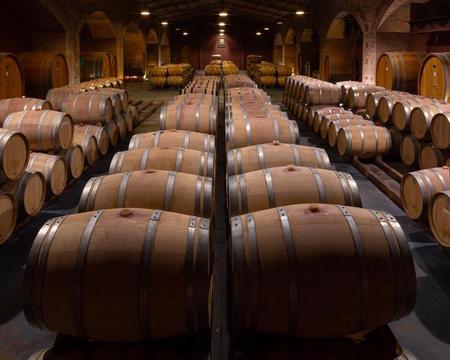 Tour Privado com Visita a 2 Vinícolas na Região de Maipú ou Luján