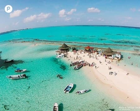 Excursión a Jhonny Cay, Manglares y Haynnes Cay