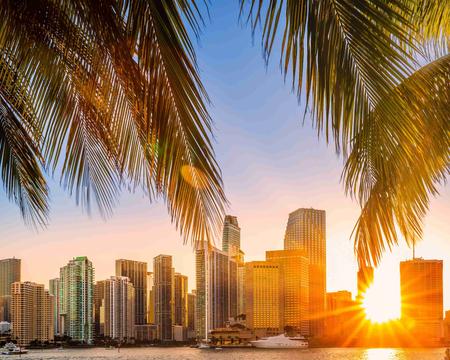 Miami City Tour With Options