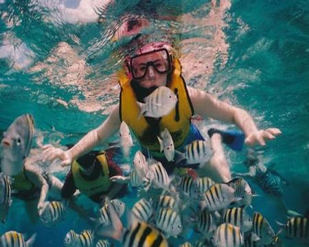 Snorkeling 