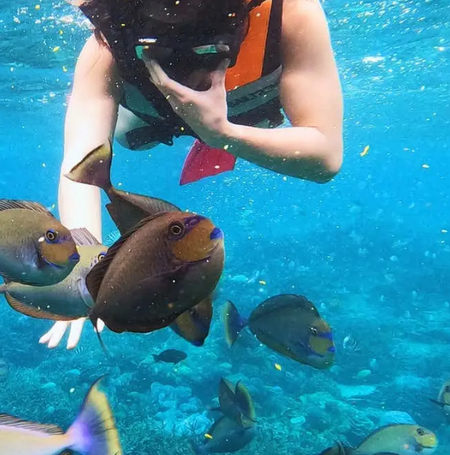 Snorkeling in Nusa Lembongan