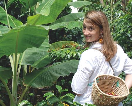 PROCESO DEL CAFÉ EN LA HACIENDA SAN ALBERTO CON CATACIÓN (QUINDÍO) PRIVADO