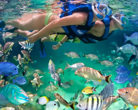 XOXIMILCO Y XEL-HA PLUS CANCÚN CON TRANSPORTACIÓN (CVU)