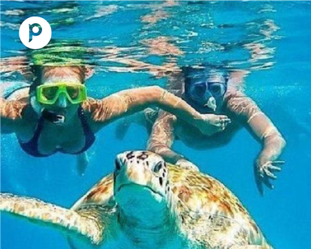 Swim with Turtles in Máncora