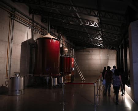 Tarija Full Day Ruta del Vino y Singani Tradicional - Servicio Privado