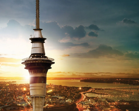Discover Auckland City Tour