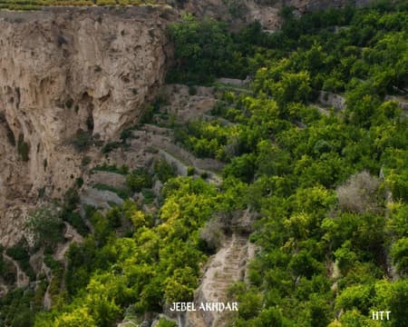 Nizwa, Jebel Akhdar: Green Mountain tour