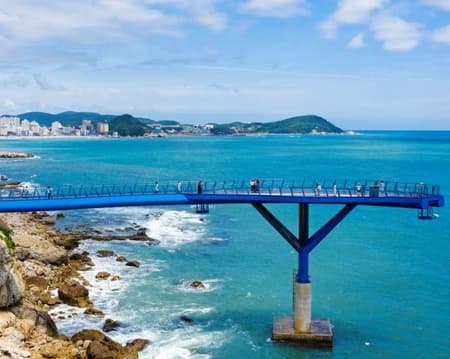 Discover Busan: Cheongsapo Sky Walk, Blue Line Train and Beach Train (Private)