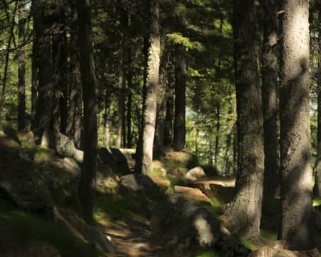 Lago di Dres: biodiversità che origina dai ghiacci
