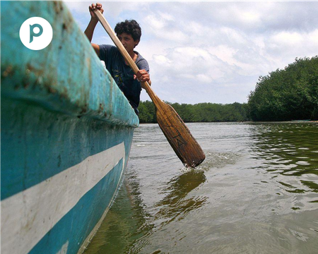 Tumbes Mangroves and Beach