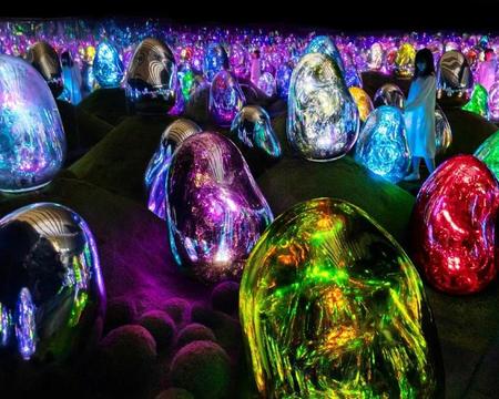 TeamLab Planets TOKYO DMM Admission Ticket