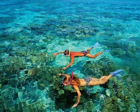 Speed Boat Snorkel Tour to Koh Nang Yuan and Koh Tao (Small Group Tour)