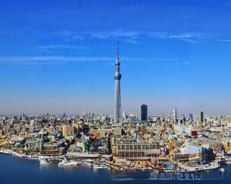 AMAZING TOKYO 1 Day Bus Tour