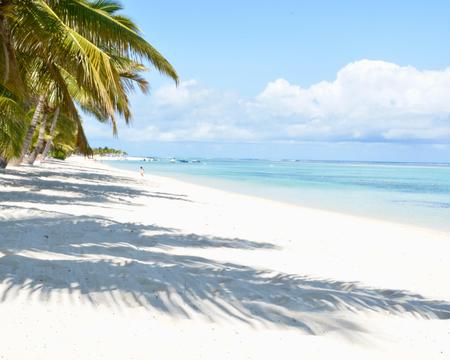 Land & Meer Kombi: Delfine und Süd Tour