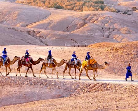Balade en Dromadaire au Désert d’Agafay + Dîner Traditionnel