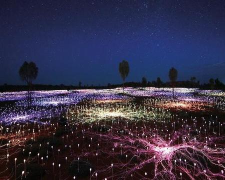Uluru Sunrise & Field of Light