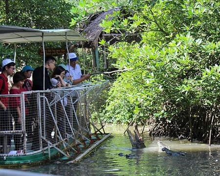 Full Day Vam Sat Ecological (Monkey Island & Mangrove Forest) - Private Tour