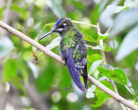 Samaipata | Ruta de Sabores