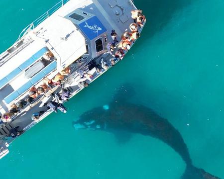 Big5 Marine Cruise at Gansbaai