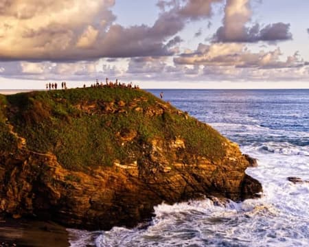 PUNTA COMETA TRANSPORTACION PRIVADA (CVU)