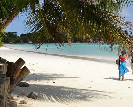 Half Day Private Tour (Chauffeur Driven) (4 hrs) without lunch   & entrance Fees  (Maximum 03 Pax)