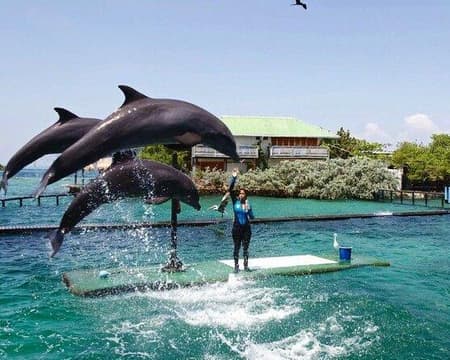 Islas del Rosario, Playa Tranquila, Baru en lancha + Oceanario