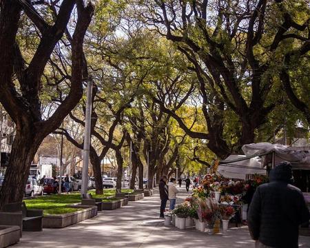 Traslados in/out + City Tour + Bodegas y Olivas