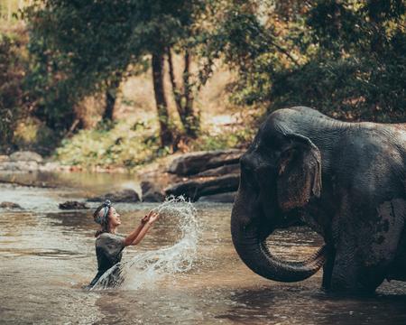 Elephant Jungle Expedition at Chai Lai Orchid (Private)