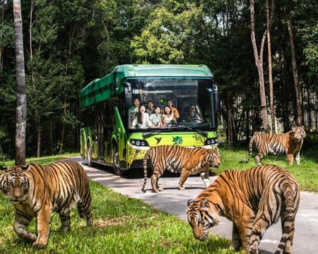 Phu Quoc – Vinpearl Safari – Grand World PVT